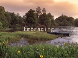 Embracing Cultural Identity: Key Strategies for Love Across Different Ethnicities