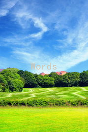 Words of Wisdom: Sayings to Help You Get Back Together