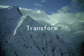 Transforming Heartache into Hope: How to Regain a Relationship Successfully