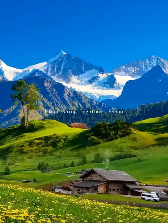 Flourishing Together: Enhancing Sexual Health through Psychological Resilience in Love缩略图 Flourishing Together: Enhancing Sexual Health through Psychological Resilience in Love