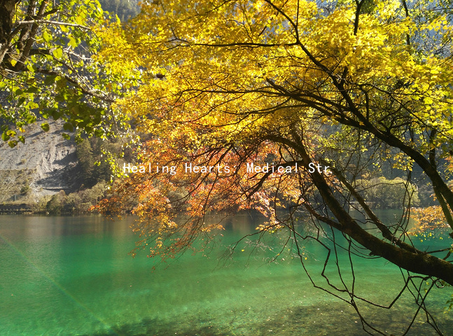 Healing Hearts: Medical Strategies for Better Communication in Romance缩略图 Healing Hearts: Medical Strategies for Better Communication in Romance