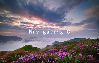 Navigating Conflict: Emotional Resolution in Sexuality for Couples