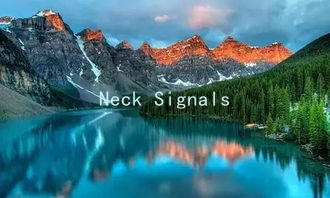 Neck Signals: Understanding the Importance of Non-Verbal Cues in Romantic Relationships