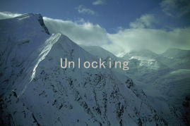 Unlocking Desire: Key Strategies for Discussing Sexual Needs with Your Partner