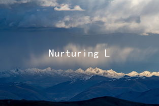 Nurturing Love: Effective Communication for Emotional Well-Being