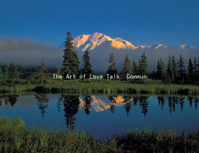 The Art of Love Talk: Communication Skills for Sexual Well-Being