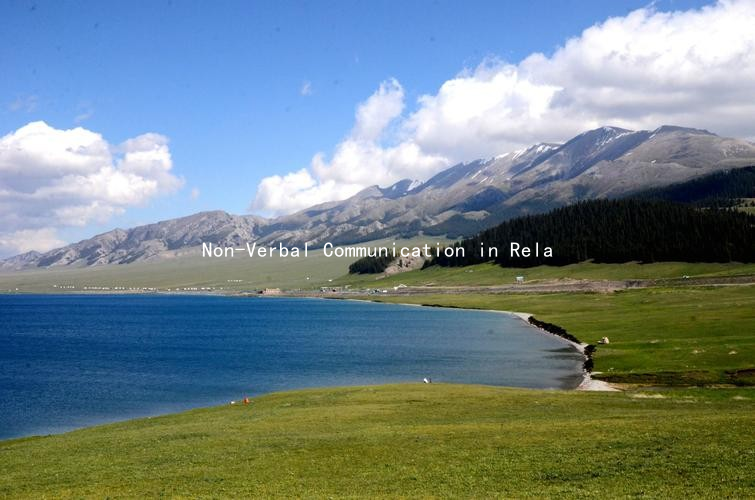 Non-Verbal Communication in Relationships: Tips for Enhancing Couples Intimacy