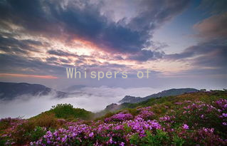 Whispers of the Heart: Mastering Emotional Expression in Relationships