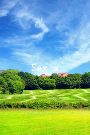 Sex and Emotion: Strategies for Maintaining Harmony in Your Love Life