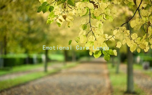 Emotional Care Language: Phrases That Make Your Partner Feel Valued
