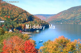 Midday Magic: Artful Approaches to Enhancing Romantic Connection