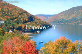 Empower Your Relationship: The Importance of Sexual Health Awareness