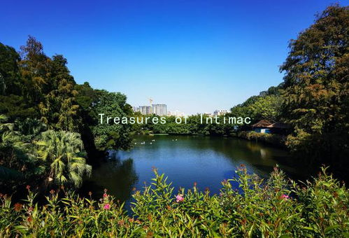 Treasures of Intimacy: Techniques to Enhance Communication and Connection