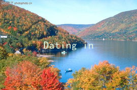 Dating in the 21st Century: Embracing Gender Fluidity in Love