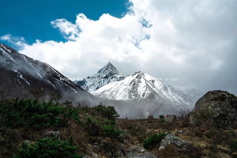 Natures Rhythm: Understanding Emotional Seasons in Love
