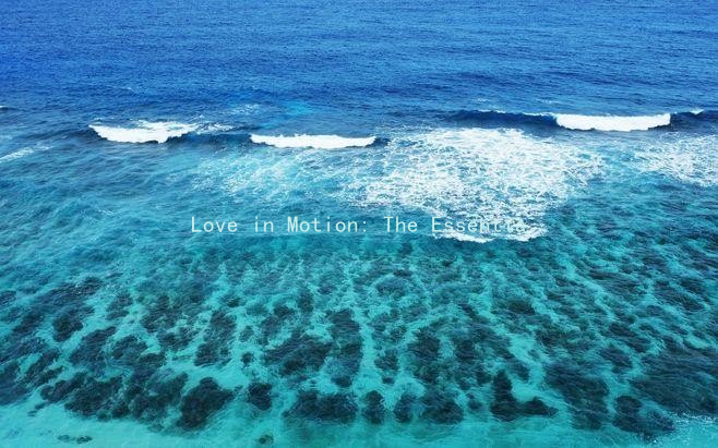 Love in Motion: The Essential Guide to Technique and Emotional Synergy