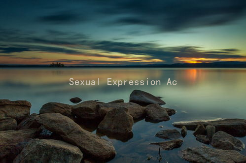 Sexual Expression Across Cultures: Enhancing Your Romantic Connection