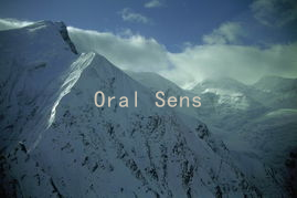 Oral Sensitivity: A Guide to Sensual Communication in Relationships