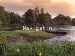 Navigating Conflicts: Relationship Expert Online Offers Strategies for Happy Couples