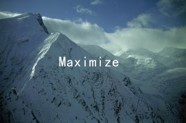 Maximize Your Relationship Potential: Gender Techniques for Ultimate Experiences