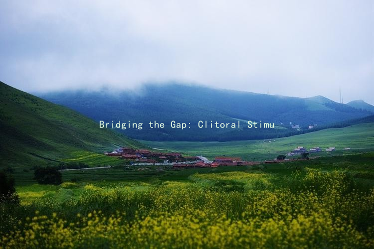 Bridging the Gap: Clitoral Stimulation and Vaginal Orgasm—What Every Couple Should Know