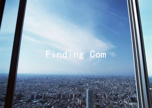 Finding Compatibility: How Sexual Self-Identity Shapes Romantic Connections
