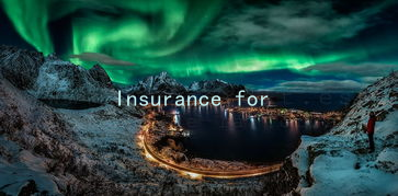 Insurance for Intimacy: Building Trust in Your Love Life