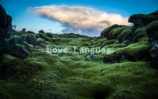 Love Languages and Bipolar Disorder: Tailoring Your Approach for Better Understanding