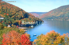 Romantic Conversations: Integrating Sexual Health Maintenance into Your Relationship Dialogue