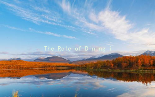 The Role of Dining in Dating Dynamics: A Gender Perspective