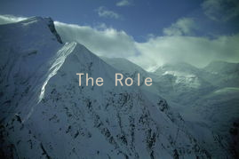 The Role of Trust in Sexual Relationships: Strengthening Your Bond