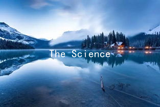 The Science of Attraction: Using Medical Research to Improve Romantic Connections