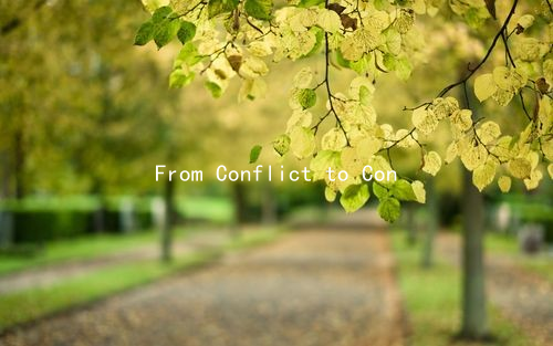 From Conflict to Connection: How to Address Bipolar Disorder Challenges in Your Relationship