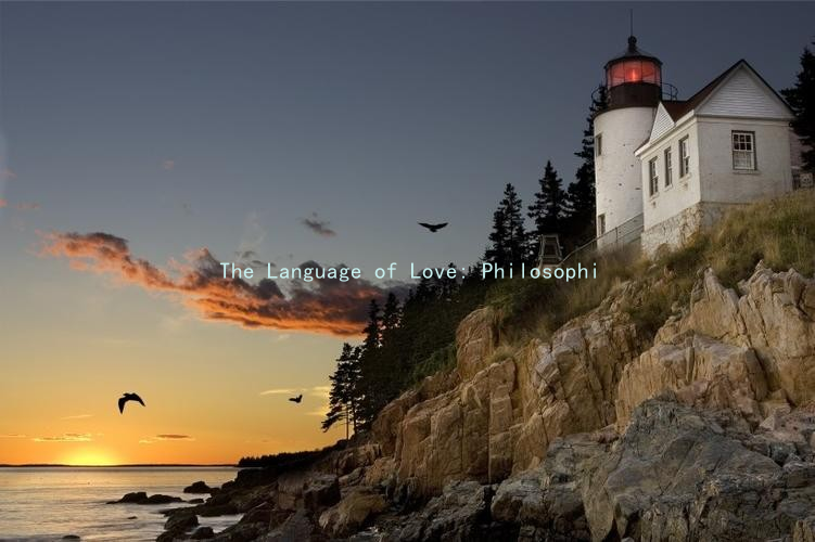 The Language of Love: Philosophical Perspectives on Flirting and Attraction