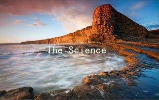 The Science of Attraction: Using Gender Dynamics to Express Love缩略图 The Science of Attraction: Using Gender Dynamics to Express Love