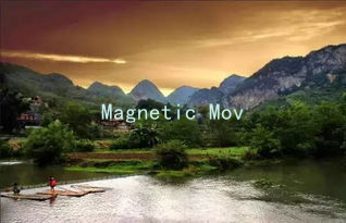 Magnetic Moves: Discover What Women Find Irresistible in Romance