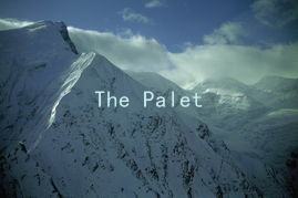 The Palette of Passion: How Color Influences Romantic Relationships