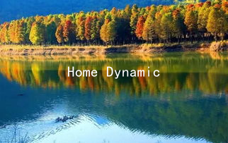 Home Dynamics: Transforming Your Living Space into a Hub for Relationship Success