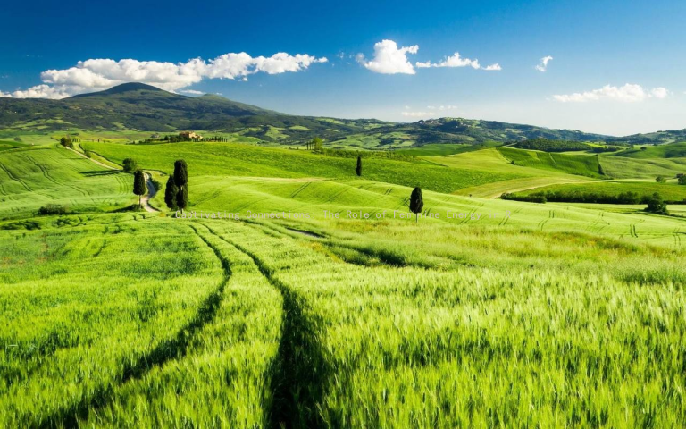 Captivating Connections: The Role of Feminine Energy in Romantic Pursuits
