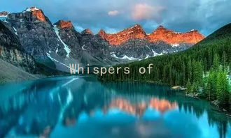 Whispers of the Heart: Using Poetic Expressions to Enrich Your Love Life