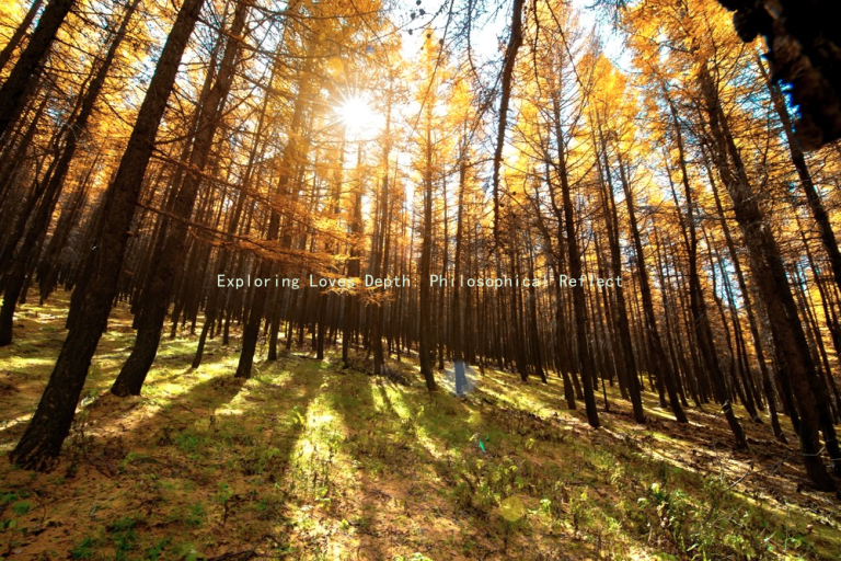 Exploring Loves Depth: Philosophical Reflections on Emotional and Physical Connection