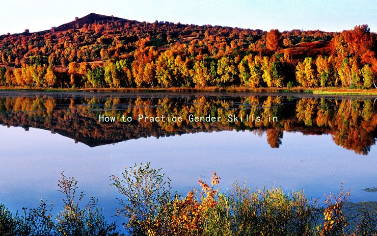 How to Practice Gender Skills in a Healthy Way: Enhancing Mutual Understanding in Marriage