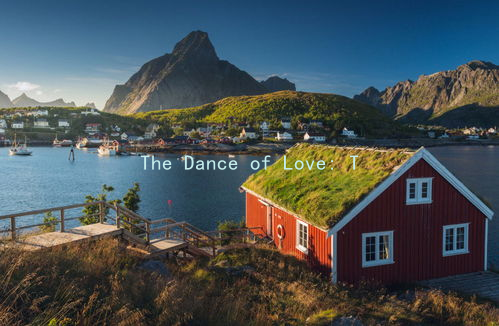 The Dance of Love: Techniques to Express Affection and Strengthen Your Relationship