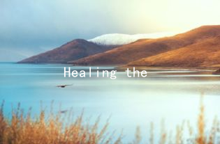 Healing the Heart: Essential Talk for Relationship Recovery