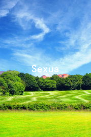 Sexual Ethics: A Philosophical Approach to Understanding Desire in Relationships