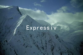 Expressive Hearts: Using Poetry to Unlock Deeper Emotions in Love
