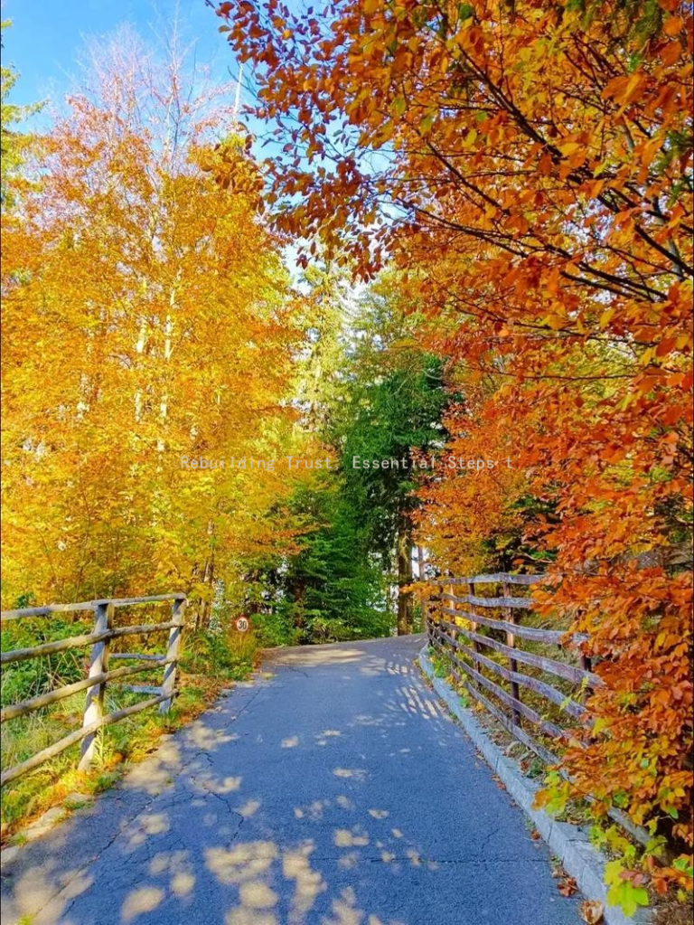 Rebuilding Trust: Essential Steps to Mend a Broken Relationship