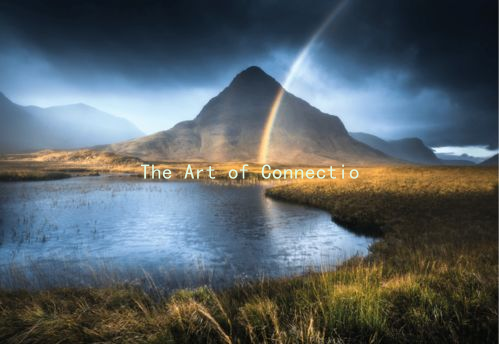 The Art of Connection: How to Navigate Bidirectional Emotional Syndrome in Love