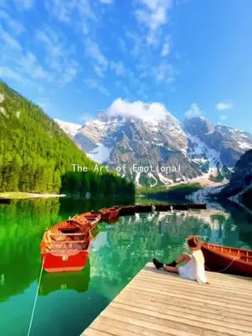 The Art of Emotional Care: Creating a Safe Space for Love and Trust缩略图 The Art of Emotional Care: Creating a Safe Space for Love and Trust