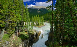 The Art of Intimacy: Engaging in Health-Conscious Sexual Practices